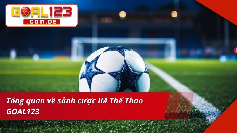 IM Thể Thao - Tận Hưởng Sống Động Mọi Giây Phút Cá Cược 2 Tìm hiểu cơ bản về sảnh cược IM thể thao